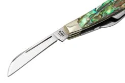 Case Small Congress 12026 Smooth Abalone, Navaja Con Velvet Box -Viper Ventas CE12026 03 case