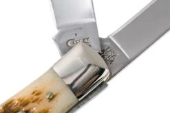 Case Trapper Amber Jigged Bone, 00164, 6254 SS Navaja -Viper Ventas CE164 06 case ce164 06