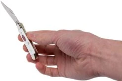 Case Peanut SparXX White Synthetic, 60188, 6220 SS Navaja -Viper Ventas CE60188 10 case ce60188 10