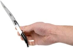 Forge Laguiole Airbus A350 1211 INAIRBUS Navaja Laguiole -Viper Ventas LA1211INAIRBUS 07 forge de laguiole