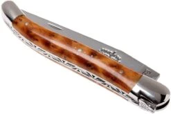 Forge Laguiole 1211INTHBRI, Ciprés De Cartagena 12 Forge Laguiole 1211INTHBRI, Ciprés De Cartagena -Viper Ventas LA1211INTHBRI 04 forge de laguiole la1211inthbri 04