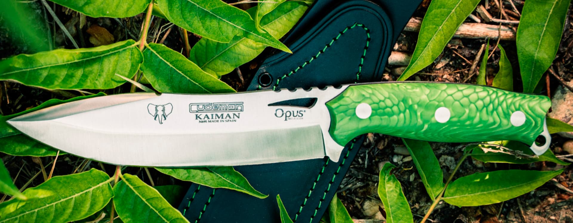 Primera página -Viper Ventas banner890